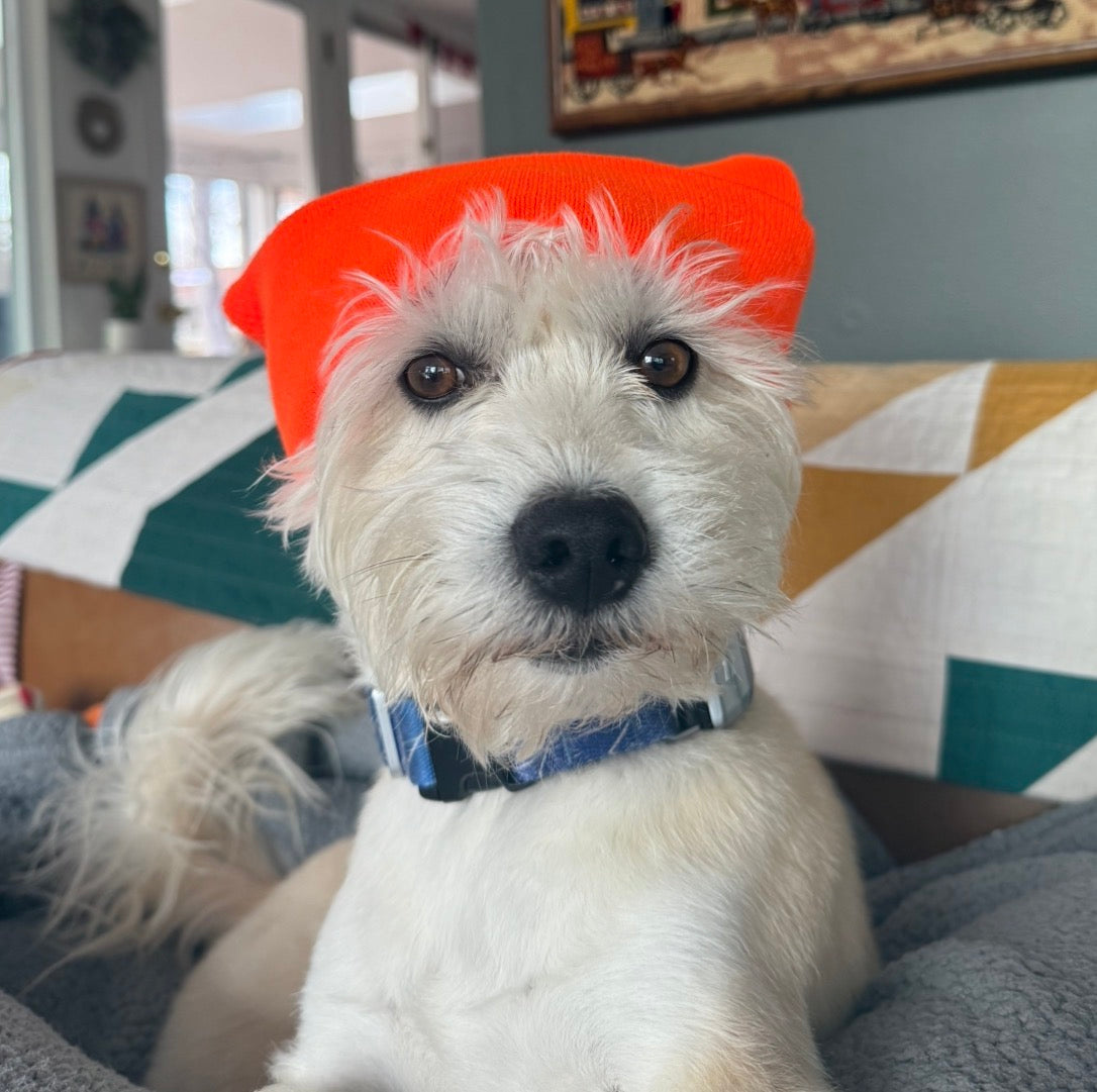 Hawke Design Shop Gift Card